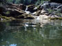 Olleta 2002 11