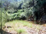 Olleta 2002 13