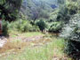 Olleta 2002 14