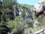 Olleta 2002 15