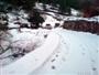 Pratdip 2009 Neu 12