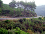 Rally 2005 04