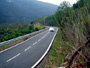 Rally 2005 25