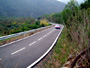Rally 2005 37