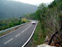 Rally 2005 40