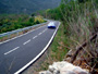 Rally 2005 51