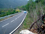 Rally 2005 62