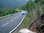 Rally 2005 63