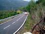 Rally 2005 65