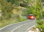 Rally 2009 03