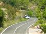 Rally 2009 05